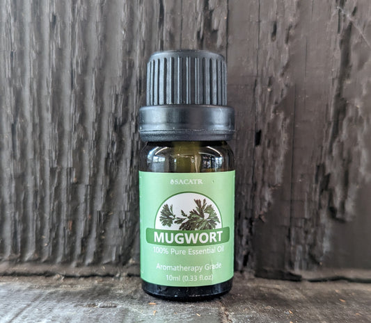 Mugwort Essential Oil
